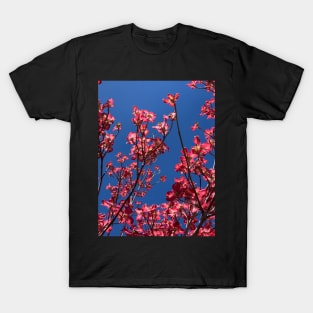 Cherokee Dogwood Tree T-Shirt